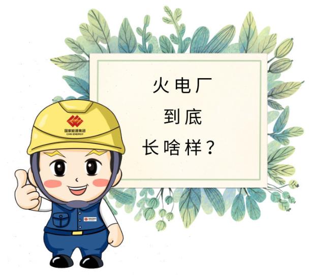 世界环境日 | 火电厂正名记:我们的白烟"白"着呢