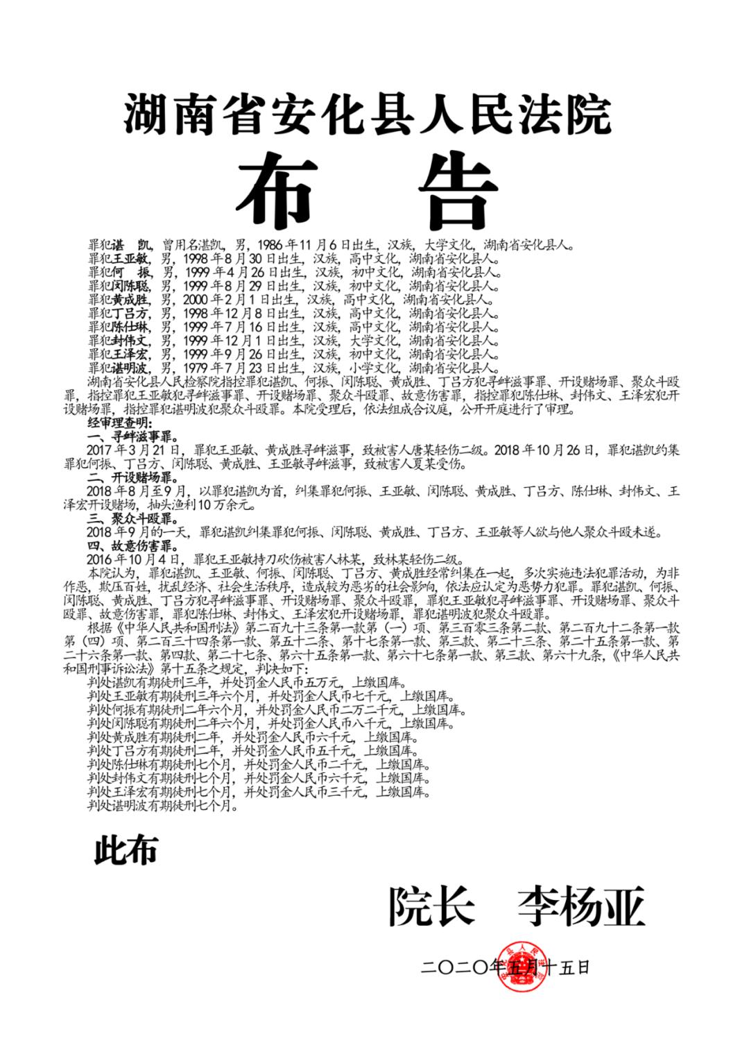 涉恶典型案例10人被判刑安化县人民法院布告