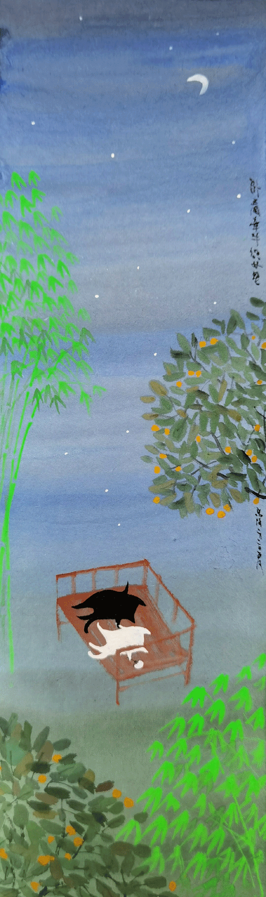 壁纸 风景 摄影 桌面 540_1816 竖版 竖屏 手机 gif 动态图 动图