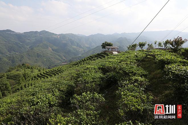 调研组一行还实地调研了凌云县伶站瑶族乡浩坤村,深入了解当地旅游