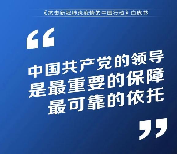 中国答卷!3.7万字重磅白皮书发布