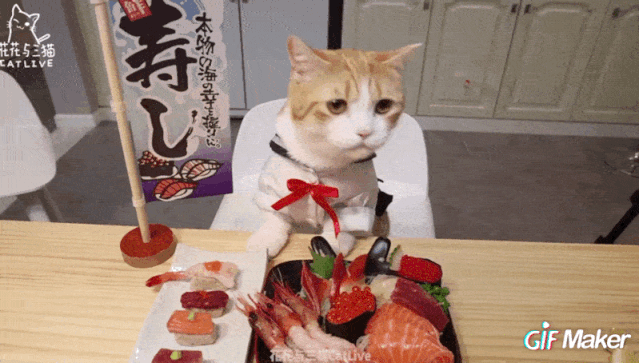 吃饭吧唧嘴,也能引领新吃播?