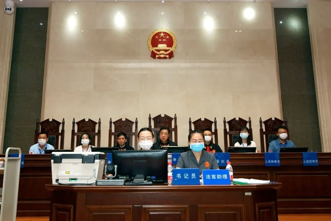 李世民孙道兴等恶势力犯罪集团案今日在临湘法院开庭审理