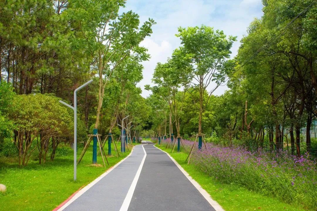 田字绿廊中的城廓公园 多方合力让生态景观触手可及