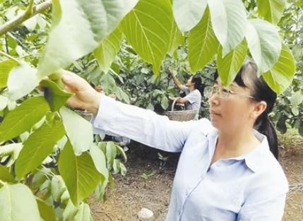 我县于兆录获河南省乡村出彩巧媳妇称号