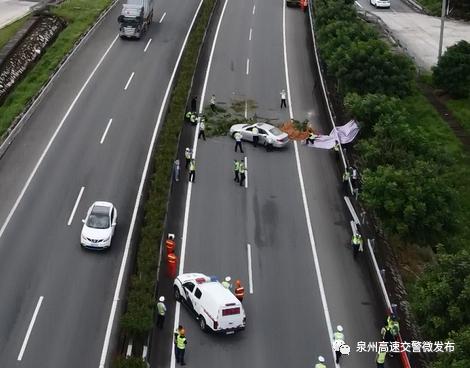 突发甬莞高速边坡溜方发生交通事故到底怎么回事