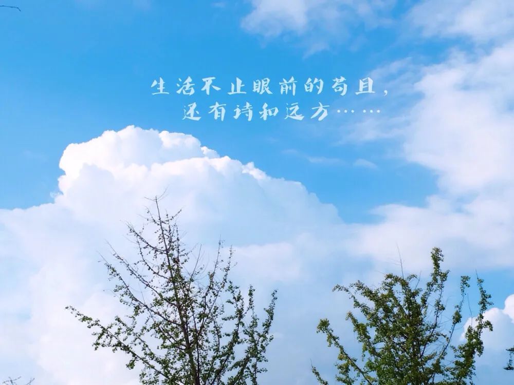 "生活不止眼前的苟且 还有诗和远方的田野" 这句经典歌词让无数人动容