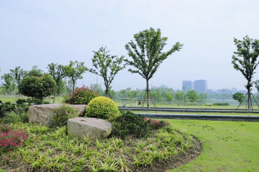 快来打卡!松江这座1500亩的生态公园已经美成这样