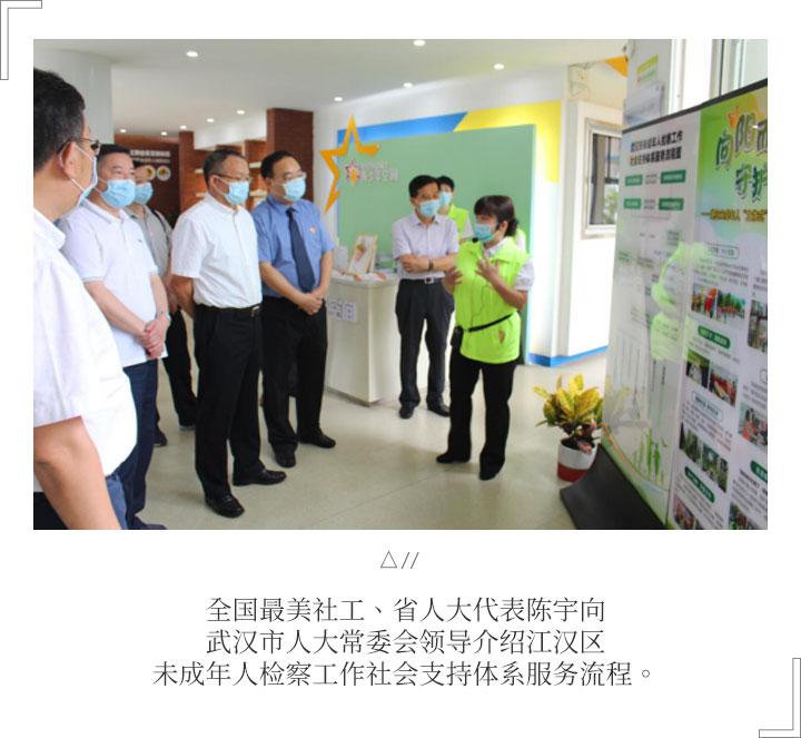 市人大常委会领导调研江汉区未成年人检察工作社会支持体系