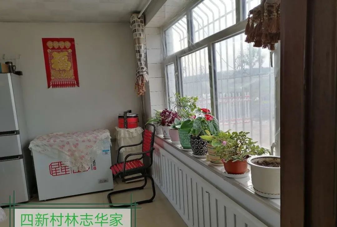 美丽家园巾帼行动晒晒我家之四新村篇