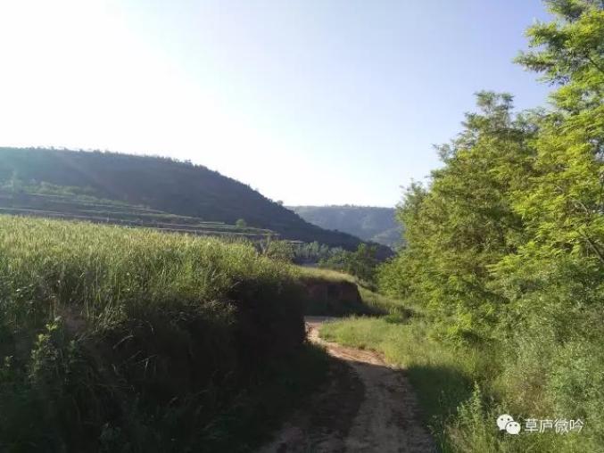 灵台的山有"八龙饮涧"之说,荆山,高志山,书台山……八座山隔河相望