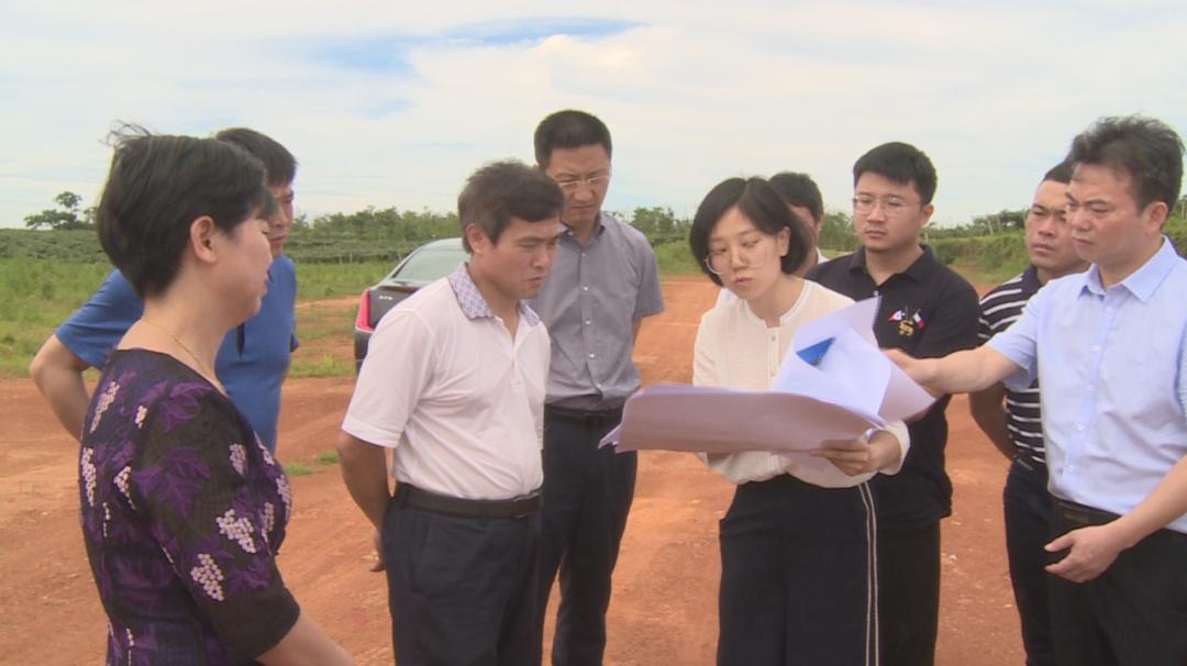 钟益民调研我县农旅产业项目