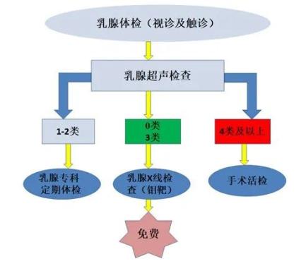 乳腺癌筛查项目及流程