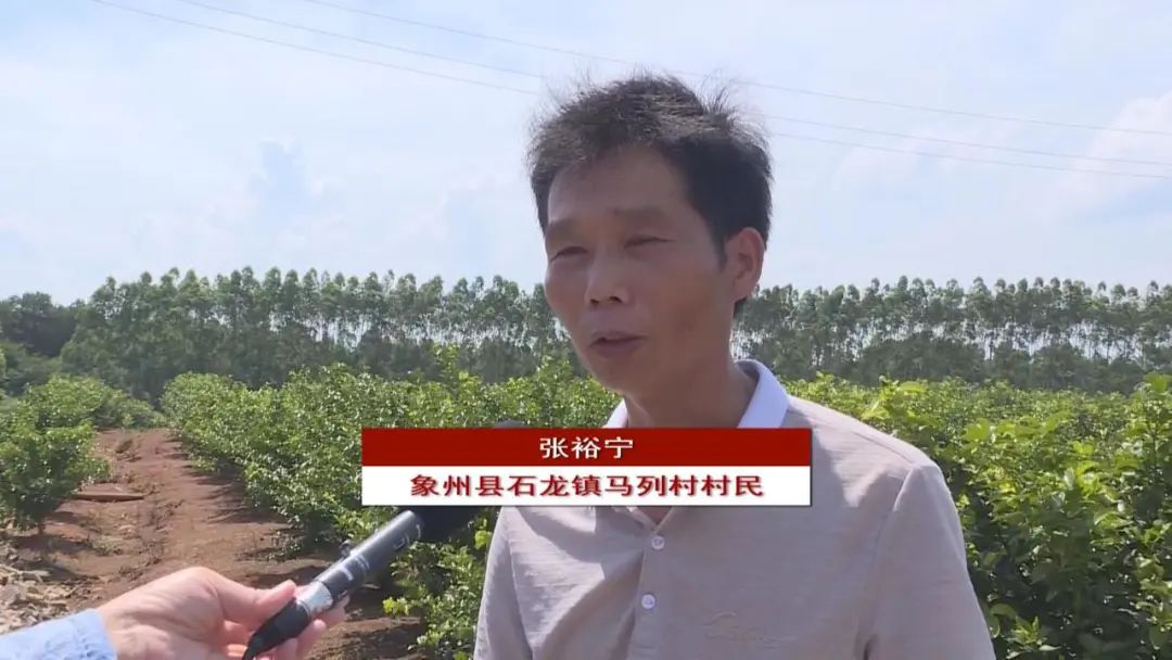 象州石龙镇家门口就业幸福感满满