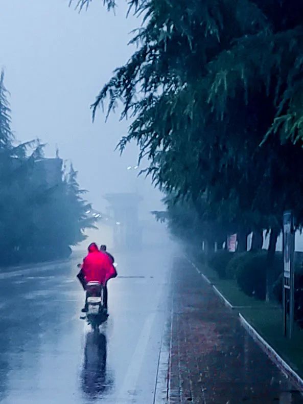 《雨蒙蒙雾蒙蒙》