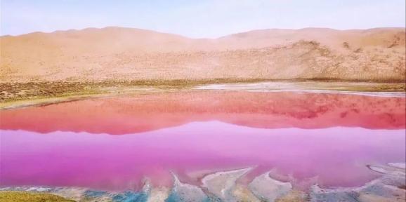 在内蒙古,有一片粉红色的湖......(最新发布)