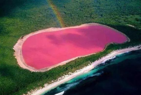 在内蒙古,有一片粉红色的湖......(最新发布)