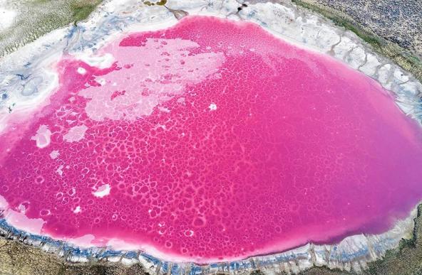 在内蒙古,有一片粉红色的湖......(最新发布)