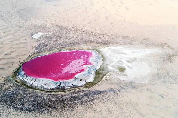 在内蒙古,有一片粉红色的湖......(最新发布)