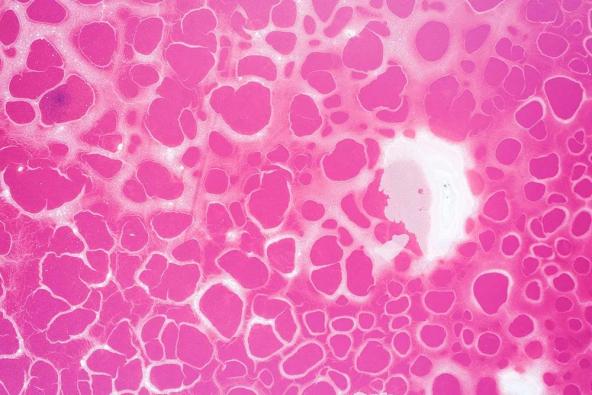 在内蒙古,有一片粉红色的湖......(最新发布)