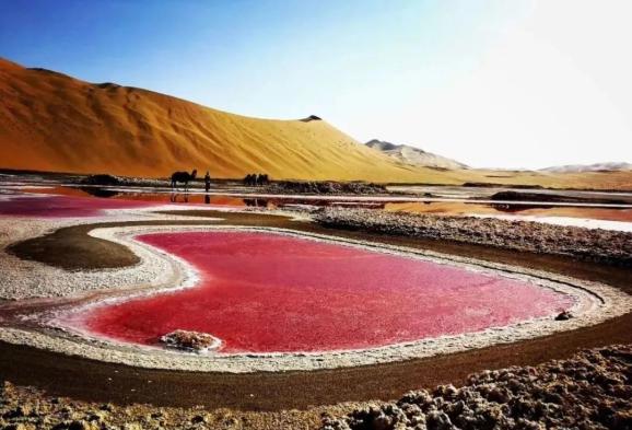 在内蒙古,有一片粉红色的湖......(最新发布)