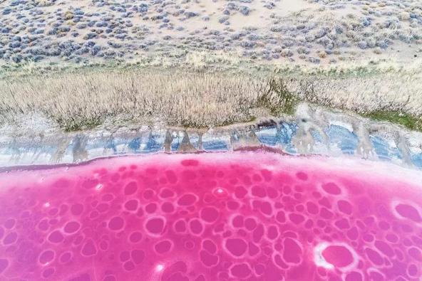 在内蒙古,有一片粉红色的湖......(最新发布)