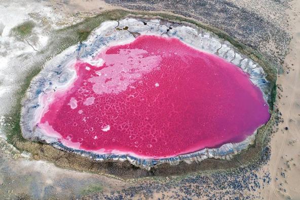 在内蒙古,有一片粉红色的湖......(最新发布)