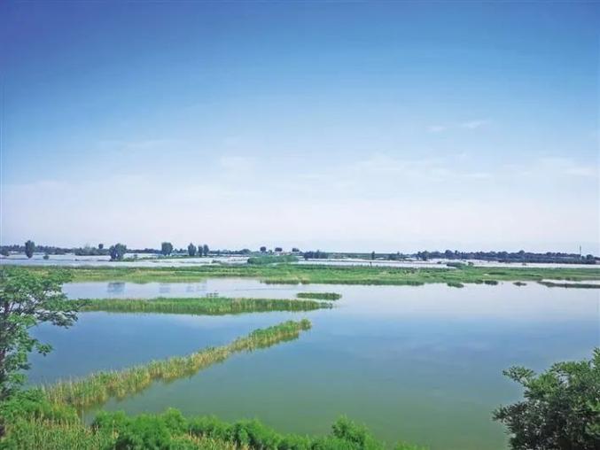 陕西大荔朝邑国家湿地公园一角