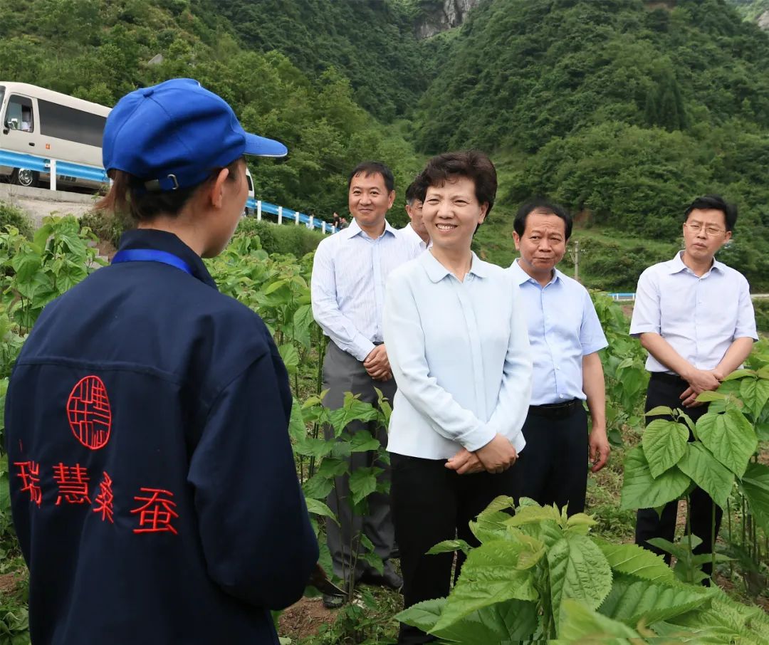 谌贻琴再鼓一把劲再加一把油坚决夺取脱贫攻坚战最后胜利