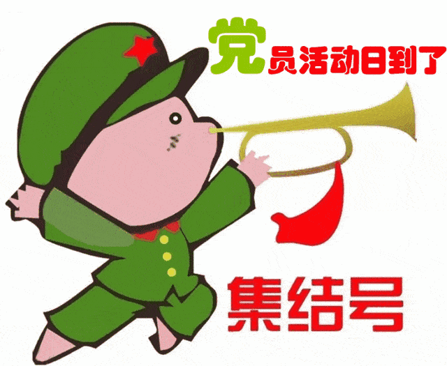 共建连心桥区妇联与结对村开展联合主题党日活动