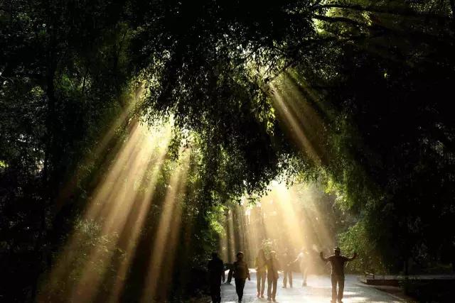 悠游吉林                       夏天骄阳似火 太阳便把心窝晒得滚烫