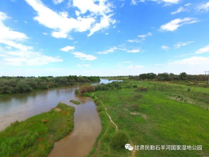 端午节┃带您游赏沙漠湿地┃石羊河湿地公园