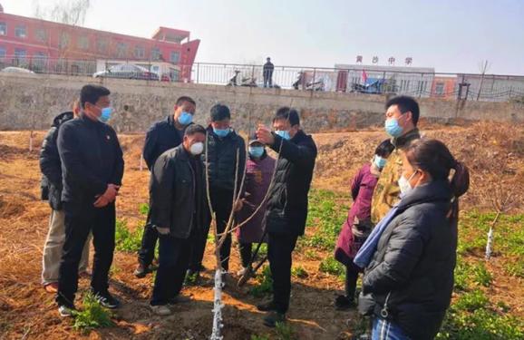 爱磁县 作贡献|6个多月,万亩荒山变林海!