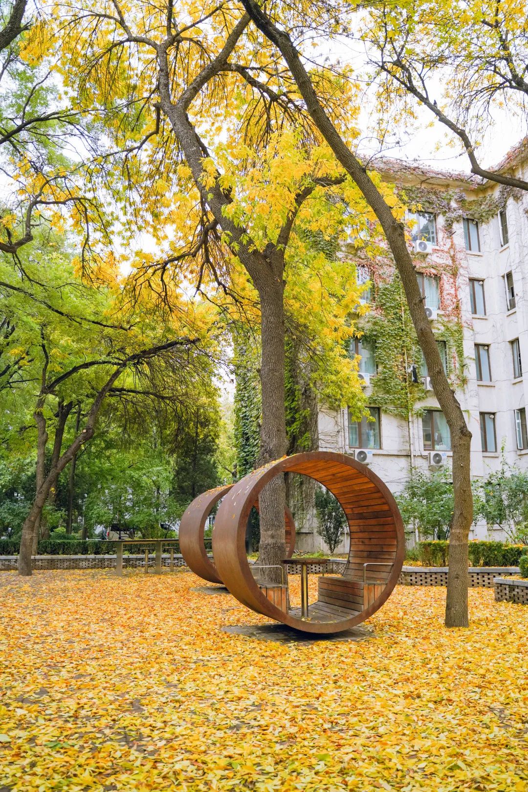 北京林业大学美在北林,神往心驰.