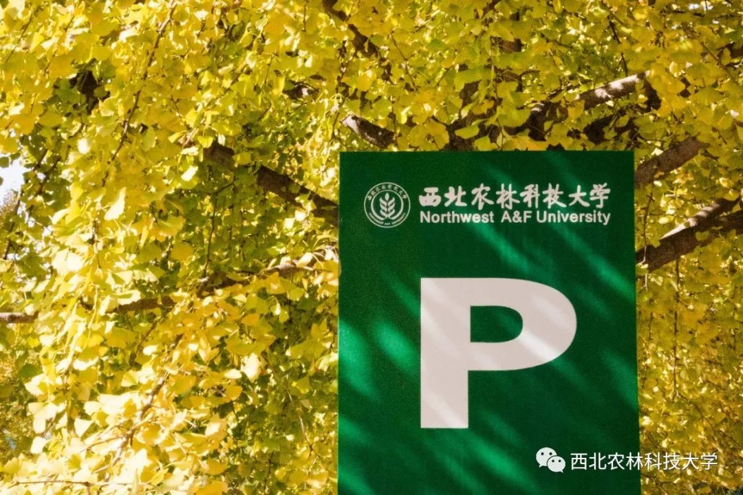 权威发布|西北农林科技大学2020年普通本科招生章程