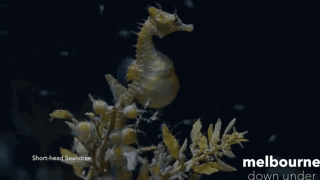 640_360gif 动态图 动图