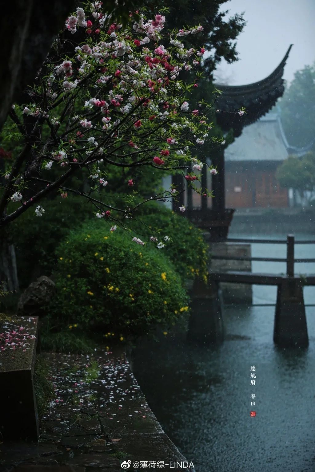 摄 薄荷绿-linda空山听雨摄 _借光芒比起晴天的威严庄重雨中的