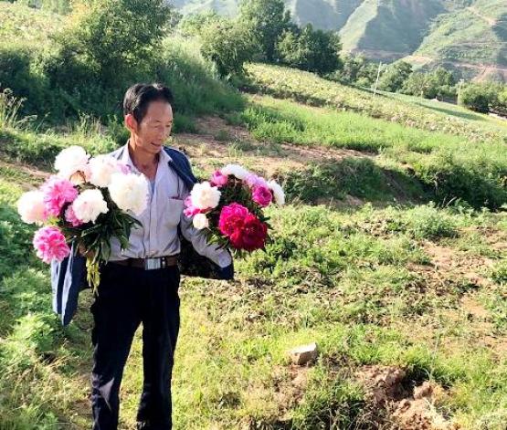 大美临洮南屏给你田园生活还有诗与远方