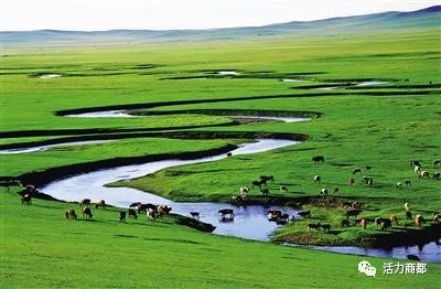 内蒙古大草原以其独一无二的特性成为国内外著名的旅游目的地.