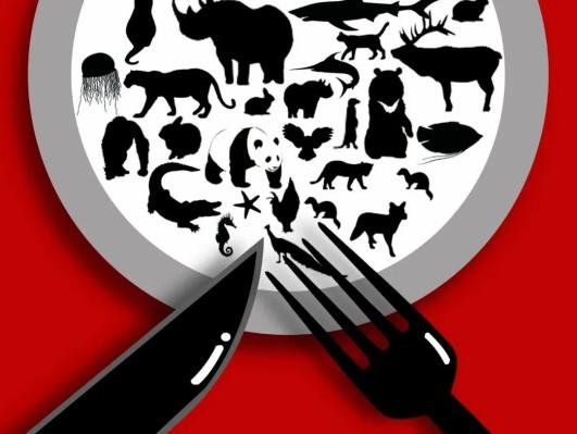 禁食野生动物:疫情之下野生动物保护相关法律法规解读