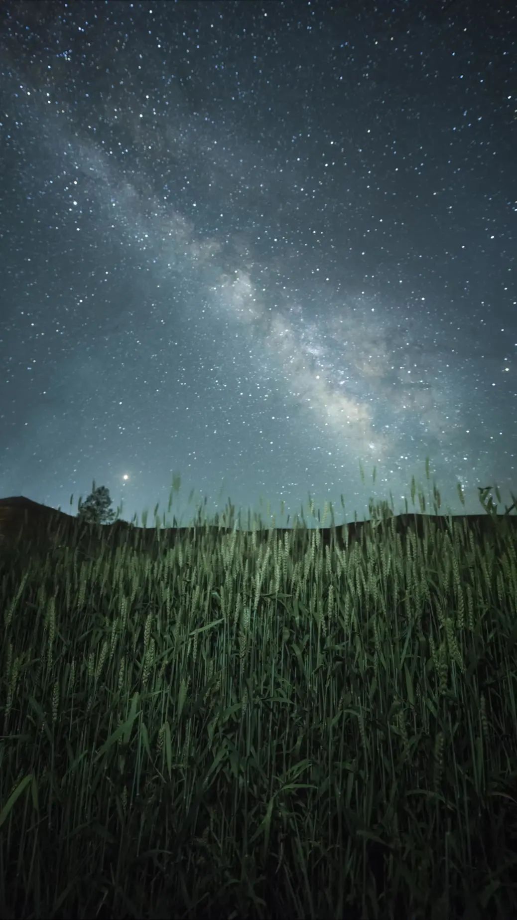 甘南旅游  我记得小时候农村的夜空,满天繁星,明亮如烛.