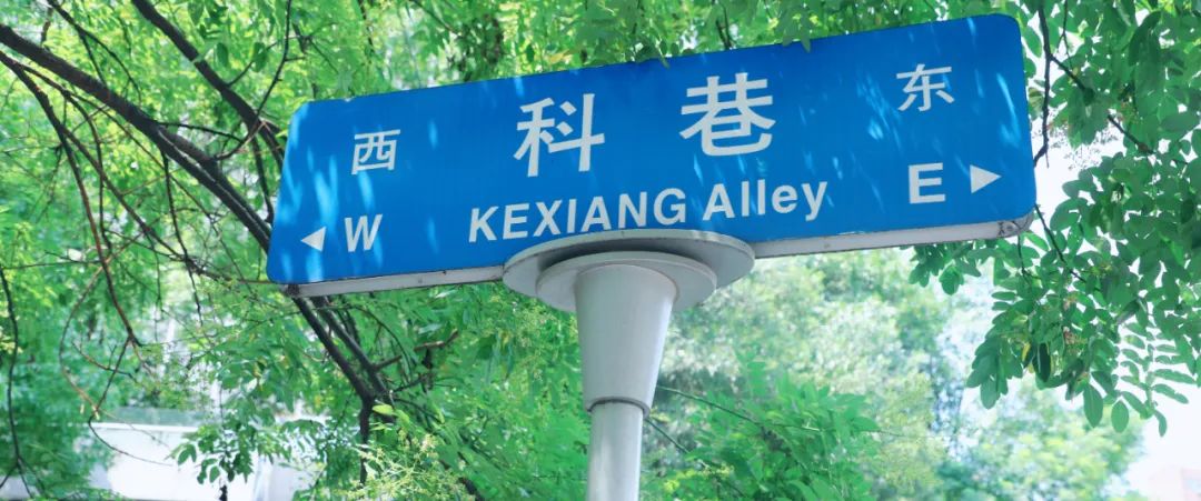 科巷,隐匿于繁华的城市中心不起眼,却常常出现在各大南京旅游攻略榜单