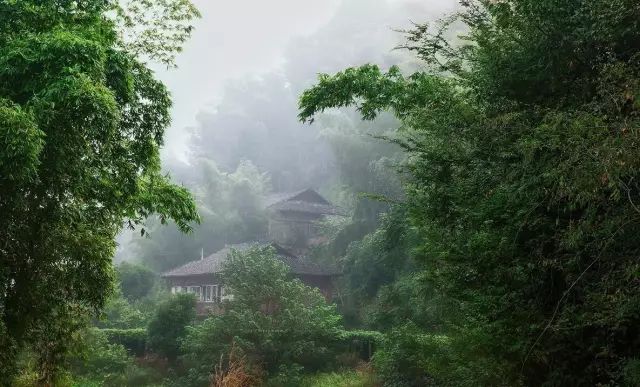 空山不见人,但闻人语响, 返景入深林,复照青苔上.