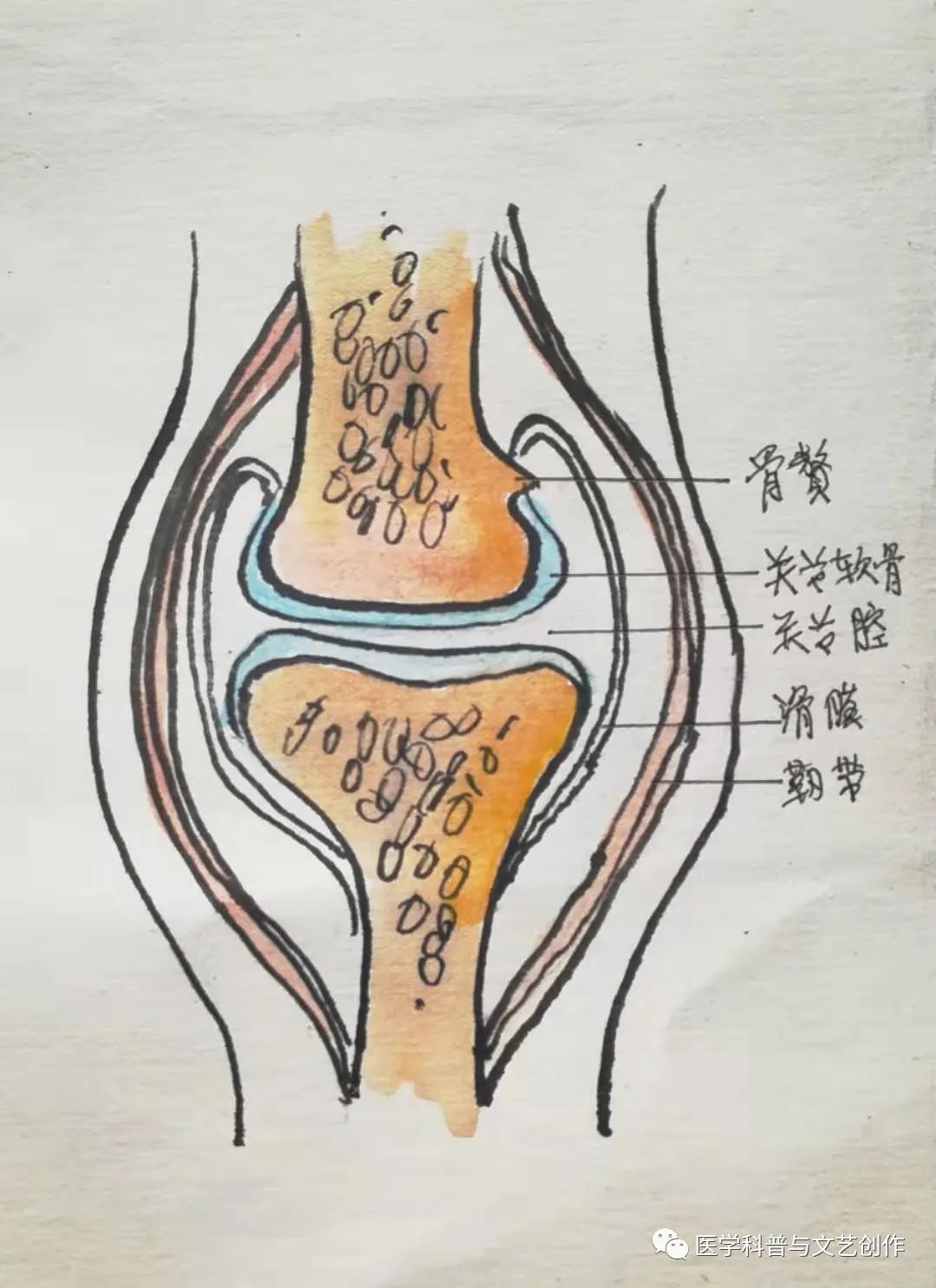 对于老年退行性疾病,不止对骨关节炎,大致皆应如此.