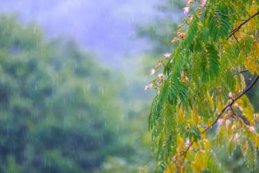 一场猝不及防的夏雨,惊艳了时光!