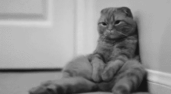 每45个孩子中就有一个患有自闭症,是环境的错,还是基因的错?