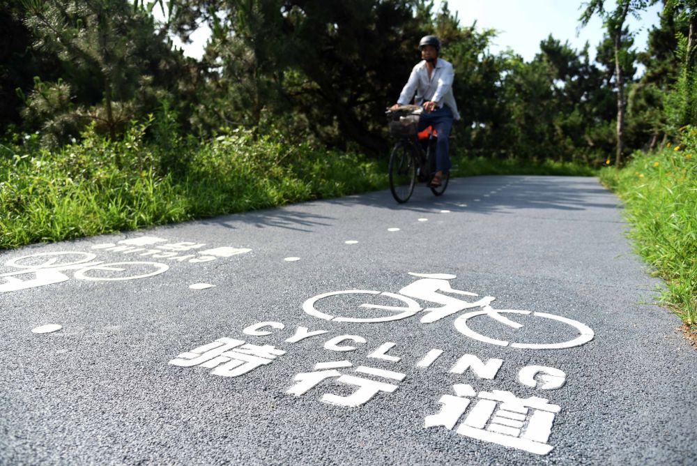 日照"绿丝带"扮靓城市阳光海岸线