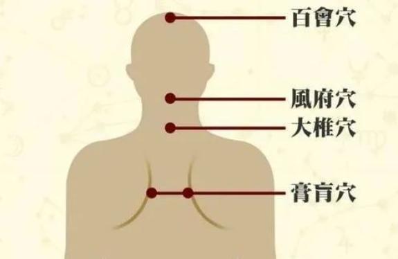 后背出汗多,就是肾阳虚比较明显了,那么怎么来区分肾阳虚和肾阴虚呢?