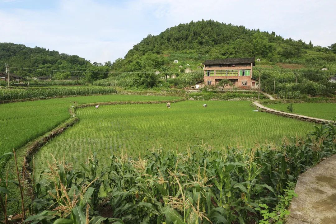 【美丽乡村】渝北洛碛大天池村入选首批重庆传统村落