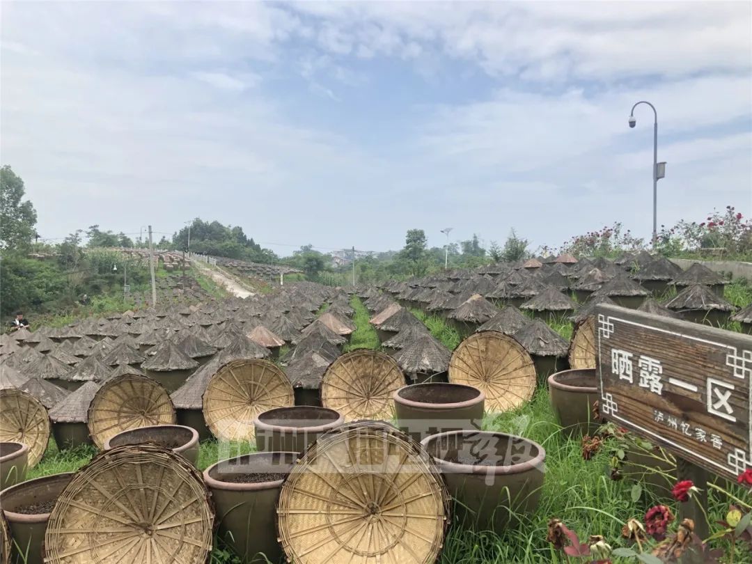 忆家香豆痴酱油,由始于嘉庆年间酿造世家万氏家族东方豆痴第四代传人